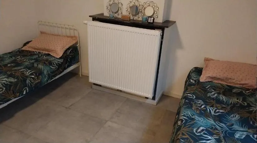 Chambre Deux Lits Celibataires Sous -Sol Cle Ancien Brussels Homestay